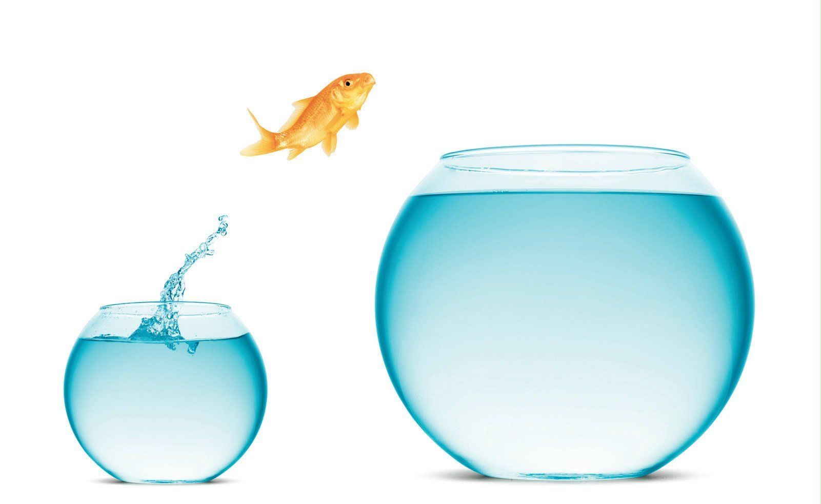 Como administrar preocupações de privacidade com as mídias sociais 14